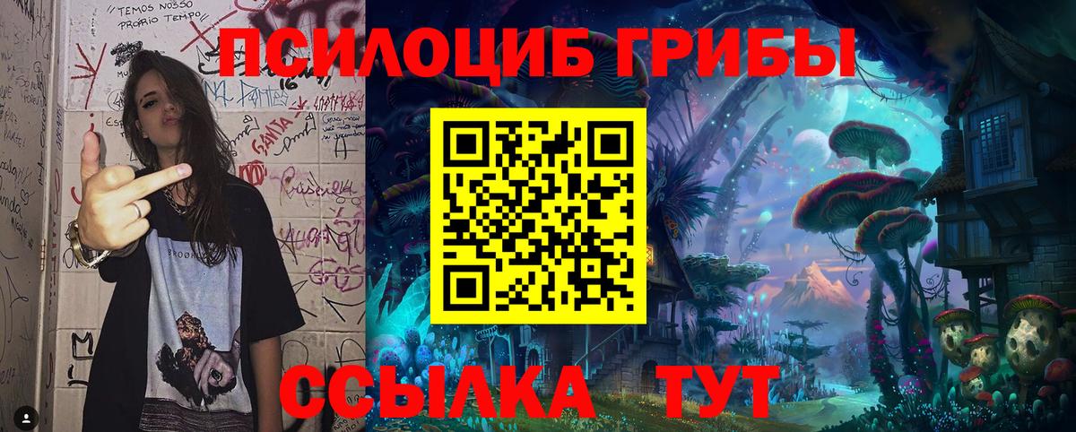 где купить наркотик  Галлюциногенные грибы прущие грибы  Обнинск  Вход с VPN  Псилоцибиновые грибы Psilocybe 