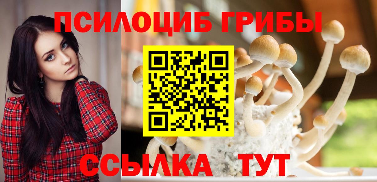 Псилоцибиновые грибы мухоморы Обнинск